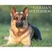 Just German Shepherds 2009 Wall Calendar