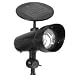 Solar Powered LED Landscape Spotlight
