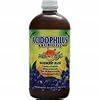 Nature's Life Acidophilus, Pro-96, Blueberry, 16 Ounce