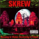 Skrew - Burning In Water, Drowning In Flame - Zortam Music
