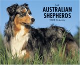 Just Australian Shepherds 2008 Calendar (Just)