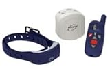 Innotek Ultra Smart Micro Remote Trainer Model IUT-300