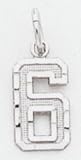 Small #6 Charm - WSN06