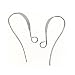 Jewelry : Silver Plated Long Elegant Earring Hooks (50)