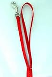 FOUR PAWS 5/16 NYLON LEASH RED 6FT