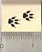 Teeny Dog Paw Prints Rubber Stamp - Wood Mounted