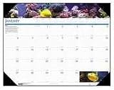 House of Doolittle 193 Sea Life Monthly Desk Pad Calendar, Nonrefillable, 22 X 17