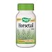Horsetail Grass