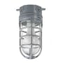 Metal Cage Ceiling Mount Light, Aluminum