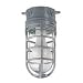 Thomas & Betts/Carlon Metal Cage Ceiling Mount Light MCL150C