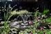 Kasco 1400jfl Pond Fountain