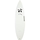 Surftech Dick Brewer Fish Surfboard