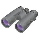 NEWSG 8X42DH WP