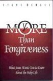 More Than Forgiveness: A Contemporary Call to Holiness Based on the Life of Jesus Christ