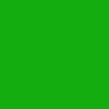 Classic Green green silk Sample Swatch