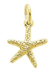 Rembrandt Charms Starfish Charm