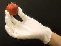 Latex gloves powder free / LARGE
