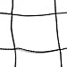 Sporting Goods : MacGregor International Volleyball Net (EA)
