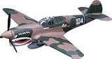 WWII Legends 1:72nd Scale - P-40E 