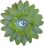 Posies Accessories