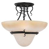 Ceiling Fixtures Sea Gull Lighting 7713