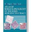 Atlas of Surgical Pathology of the Male Reproductive Tract by Jae Y. Ro, David J. Grignon, Mahul B. Amin, and Alberto G. Ayala