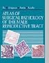 Atlas of Surgical Pathology of the Male Reproductive Tract