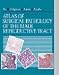 Books : Atlas of Surgical Pathology of the Male Reproductive Tract