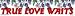 True Love Waits bumper sticker