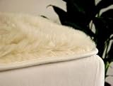Platinum Double Wool Filled Magnetic Mattress Cover Pad Queen Size 60