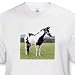 Paint Horse - Toddler T-Shirt (4T)