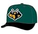 Minor League Baseball Cap - Augusta Green Jackets Alt 1 Cap by New Era