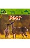 Deer (Amazing Animals)