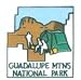 Guadalupe Mountains National Park Pin