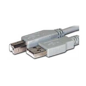 10ft USB 2.0 Type A Male B Male Color Cable - BEIGE / LIGHT GRAY COLOR On Sale