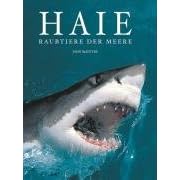 Haie - Raubtiere der Meere
