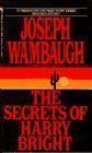 The Secrets of Harry Bright (03968)