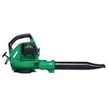Weedeater Gas Blower