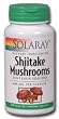Shiitake Mushroom 600mg - 100 - Capsule