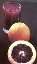 Semi Dwarf Blood Orange Tree Five Gallon