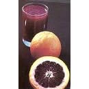 Moro Blood Orange Tree Semi Dwarf Five Gallon