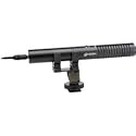 Azden High-performance(SMX-10) Stereo Condenser Microphone