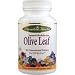 Olive Leaf is naturally extracted using only the finest quality leaves from mature trees grown in the prestine environment of Andalusia, Spain. Our Standardized True Spectrum extract provides active levels of oleuropein, concentrated in the balanced ratio nature intended, without isolating, fractionizing or using toxic solvents, harsh chemicals or gases. Studies show Olive Leaf has many health supporting properties and is widely used for its antioxidant and immune supporting activity. Beneficial for conditions associated with virus growth Contains many health enhancing properties Effective against viruses, bacteria and protozoans Inhibits oxidation of LDL "bad" cholesterol Powerful antioxidant and immune supporting activity A natural wide spectrum antibiotic Helps reduce high blood pressure Promotes cardiovascular health and capillary integrity