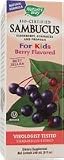 Natures Way Sambucus for Kids, 8-Ounce