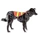Outward Hound Reflecti-Vest for Dogs