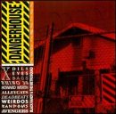 Dangerhouse, Vol. 1
