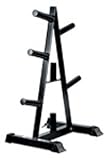 Olympic A-Frame Plate Tree - Black