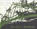 IL 31, Bambus. IL 31, Bamboo: Bambus als Baustoff / Bamboo as a Building Material. Bauen mit pflanzlichen Stäben / Building with Vegetal Rods