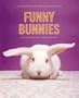 Funny Bunnies Notecards (Deluxe Notecards)