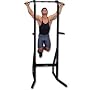 Champion Chin and Dip Station Gym Equipment